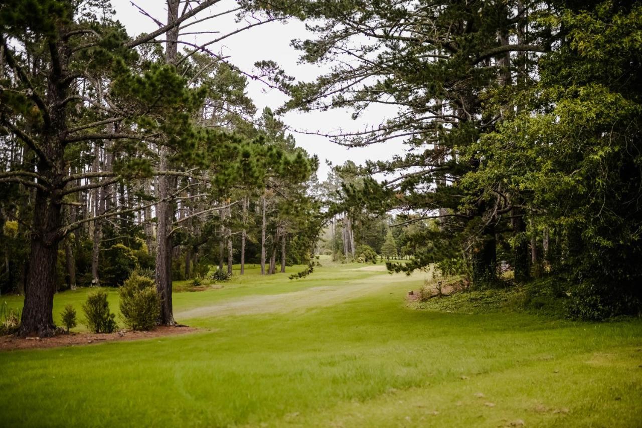 Northridge Golf 4* Orewa